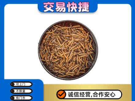 驻马店市济源礼品回收虫草.jpg